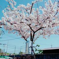 春、新たな季節です