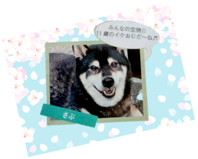 新年度！