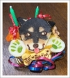 アシストの看板犬　さぶの話
